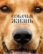 Собачья жизнь   (фильм, 2017)